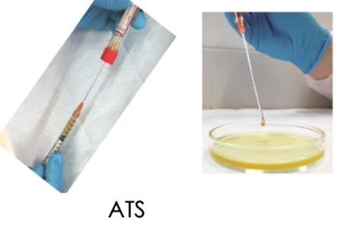regenats-darstellung2