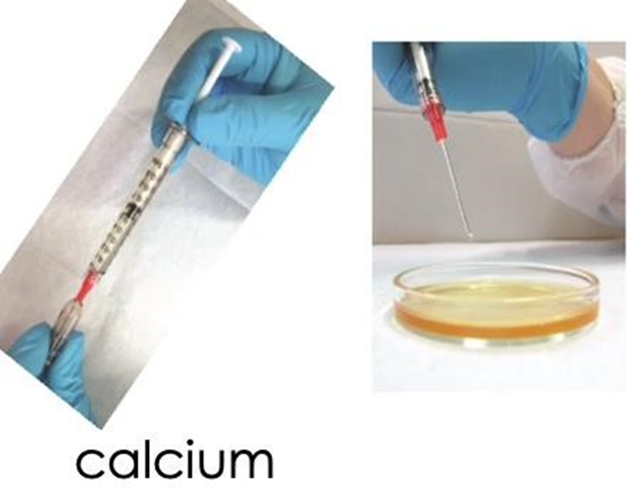 regenats-darstellung3