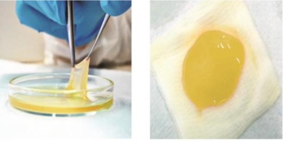 regenats-darstellung4